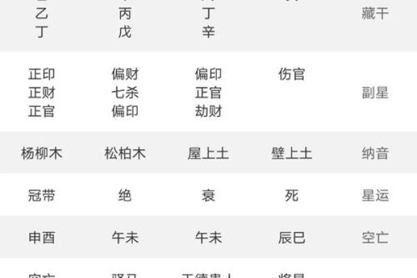 紫薇斗数二限