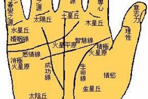 看手相算命图解