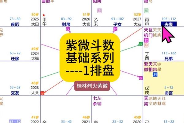 什么紫薇斗数孤寡