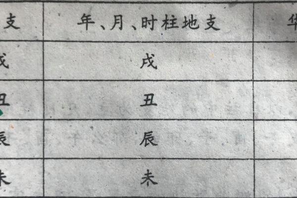八字华盖查询免费在线，快速准确的八字命盘解析