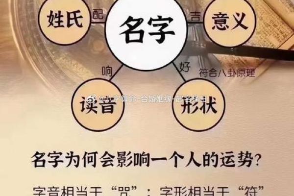 查八字起名