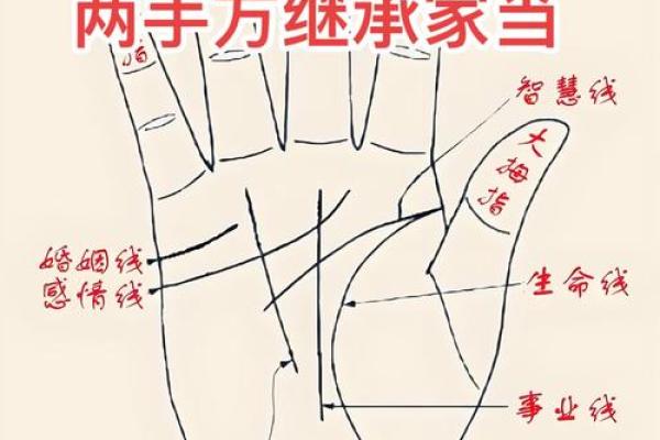 手相算命的基本原则