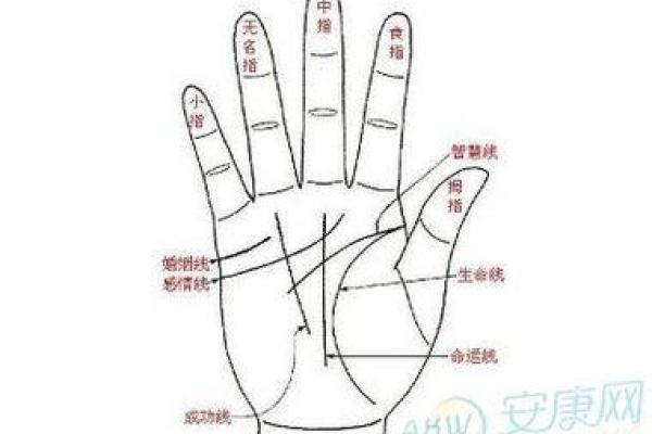 手相算命的基本原则