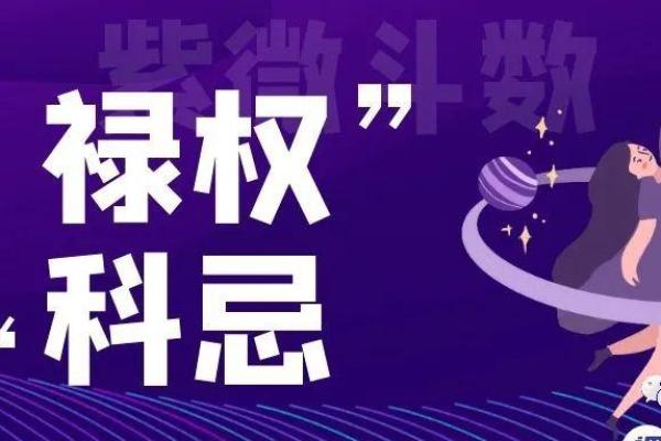 意象紫薇斗数