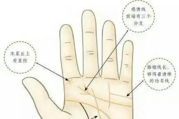 财运线是哪一条？财运线算命图解