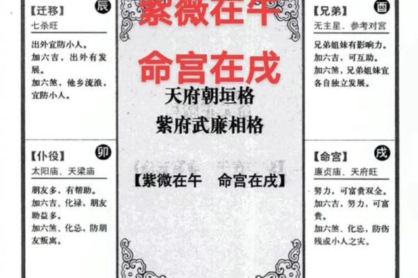 紫薇斗数文章