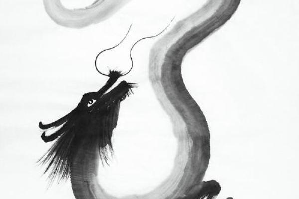 白龙八字