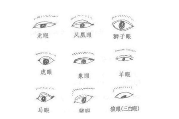 通过脸算命