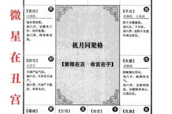 刘嘉玲命理紫薇斗数