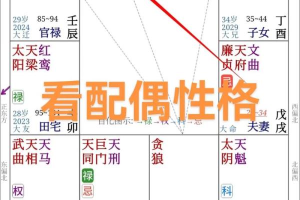 看星盘和算命哪个好些