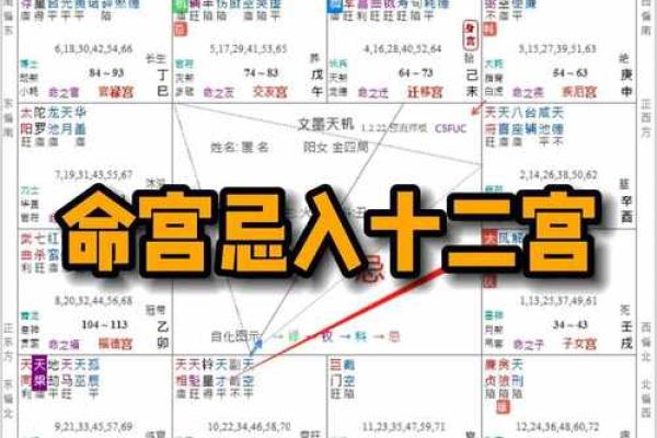 天相在命宫，紫微斗数天相星入命宫详解