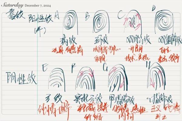 指纹算命图谱