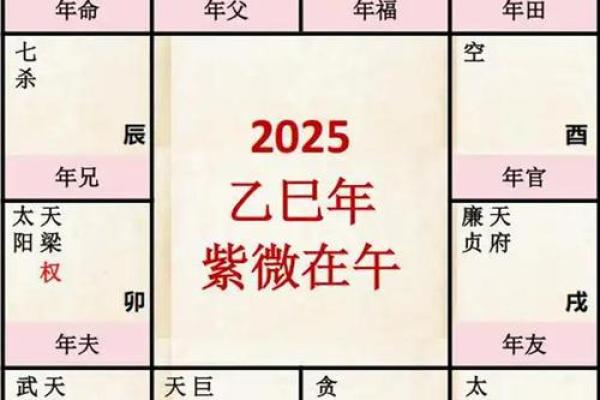 紫薇星年运势
