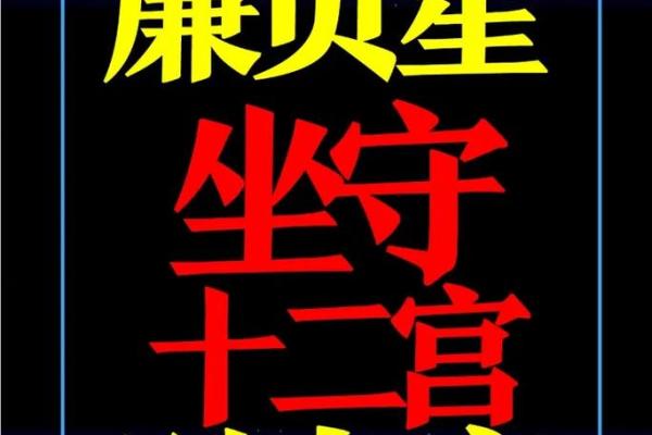 紫微斗数之廉贞星：此星在命盘什么地方，这辈子的业障就在哪里