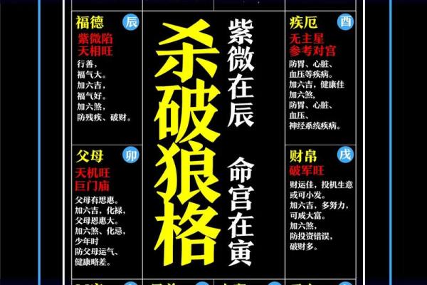 紫微斗数公务员令东来 紫微斗数公务员格局？