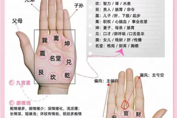 凯帝阿手相算命图解大全05