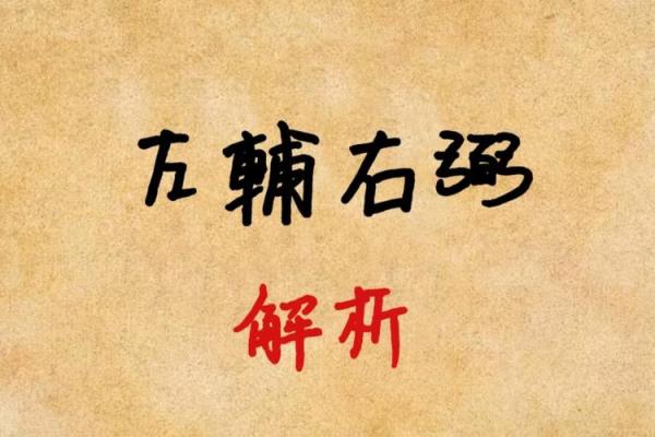 紫薇斗数中左辅右弼