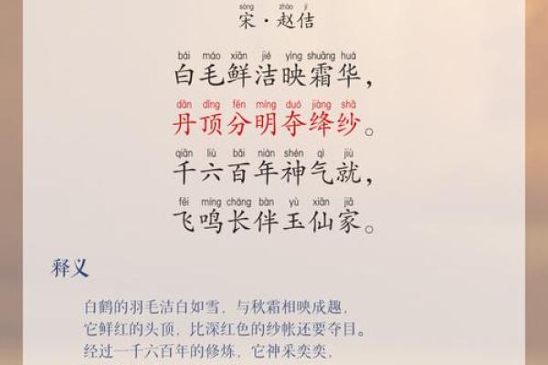 白鹤鸣八字