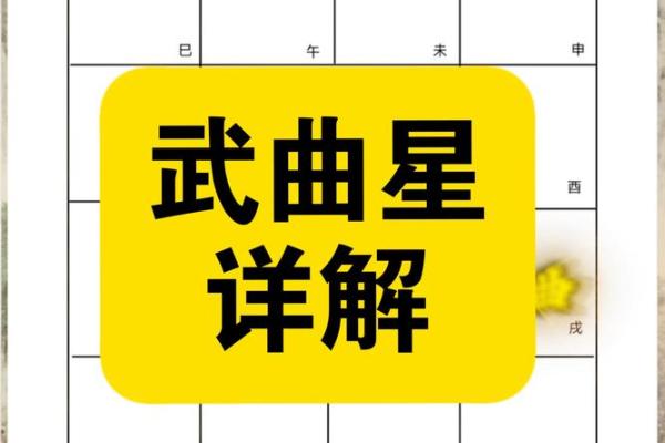紫薇斗数文曲