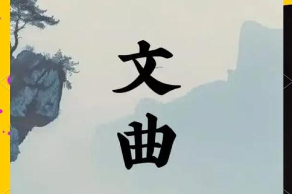 紫薇斗数文曲