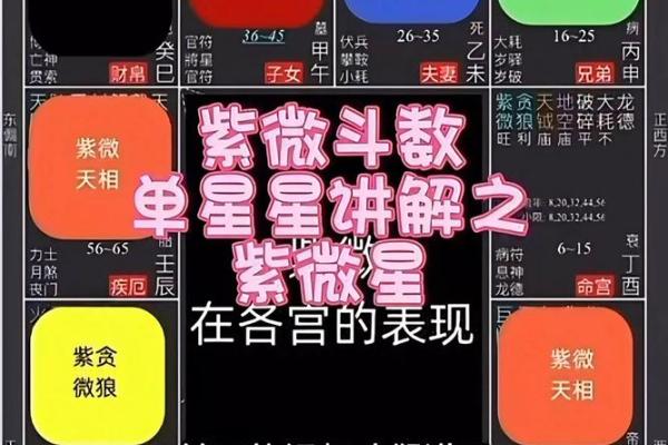 紫薇斗数群聊吧