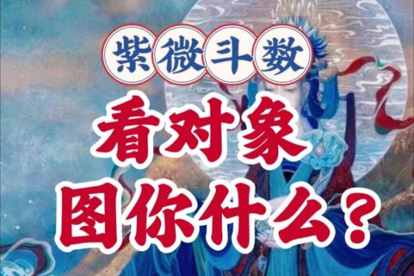 紫薇斗数看什么样的男女会结婚