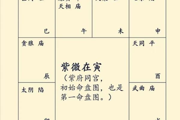 哪里有紫薇斗数算命