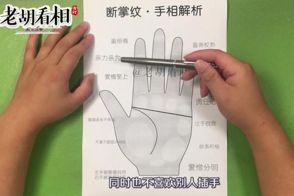 断掌纹看相算命图解