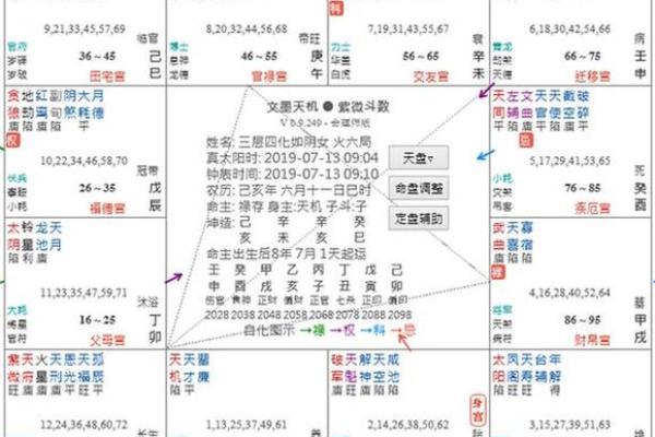 查紫薇斗数