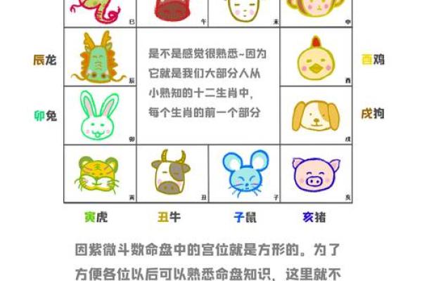 关于紫薇斗数软件安卓破解版的信息