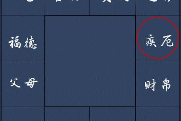 关于紫薇斗数软件安卓破解版的信息