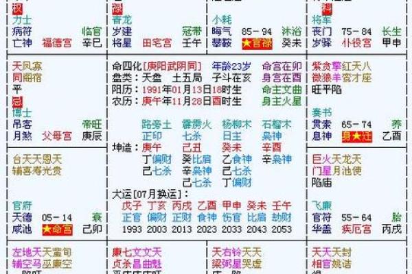 唐艺尹老师：紫薇斗数主星解释