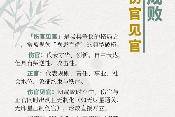 八字官伤大运