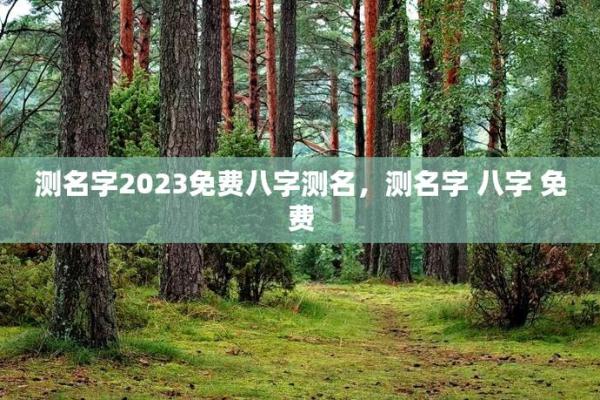 免费五行八字测名起名,起名测名打分免费测试