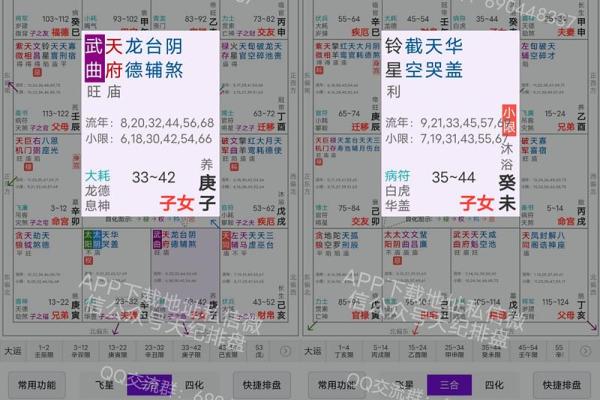 紫薇斗数贵子