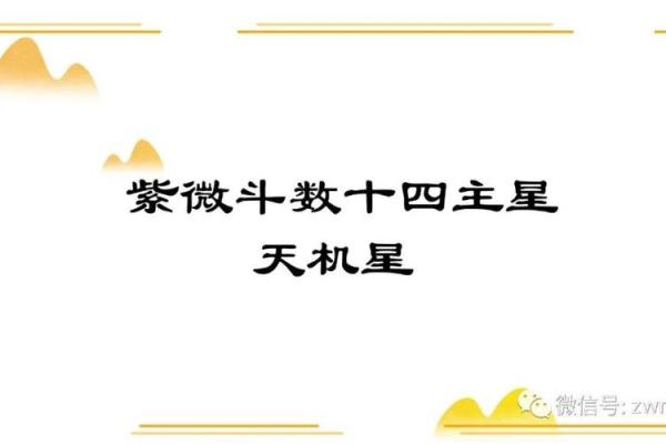 紫薇斗数主看星