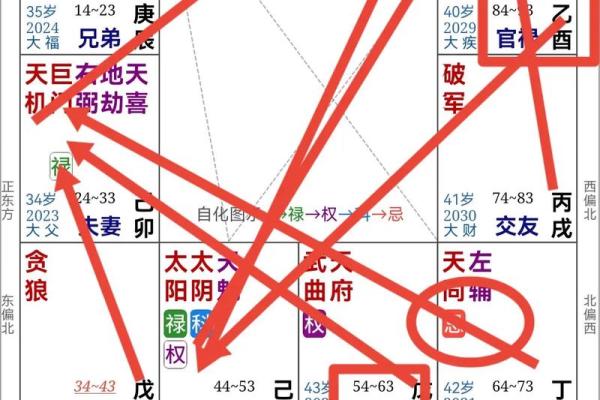逆天改运？《飞星紫微斗数》古籍揭秘命运织锦，一册在手扭转乾坤