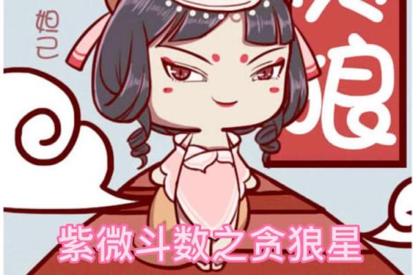 看紫薇斗数贪狼