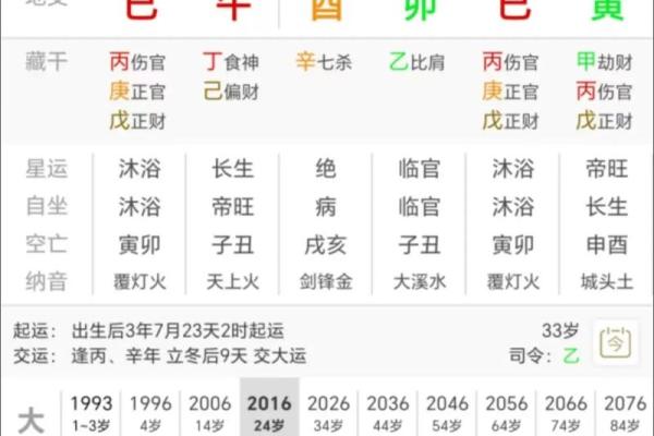 丁酉辛亥丙戍己亥八字命运
