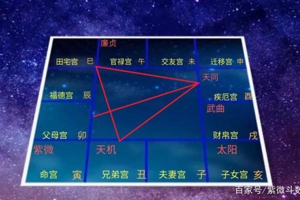 紫微斗数继父 紫微斗数看父母再婚？