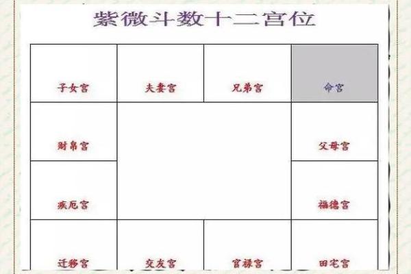 紫微斗数之生年干四化表象：官禄宫四化表象