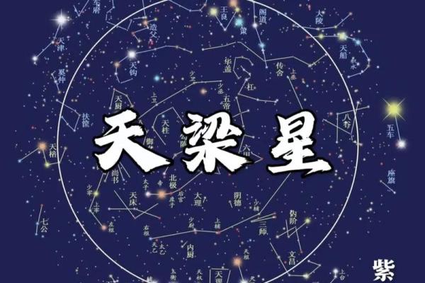 紫薇斗数看借钱