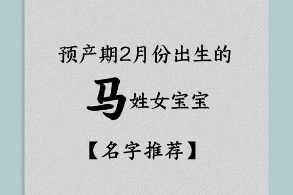 马年宝宝起名测试