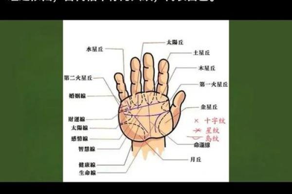 手相算命图解指纹的奥秘