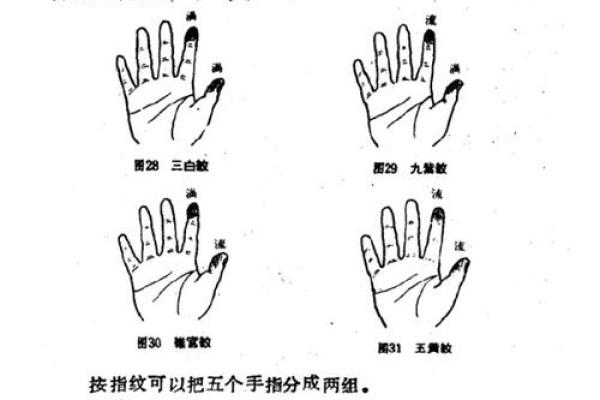 手相算命图解指纹的奥秘