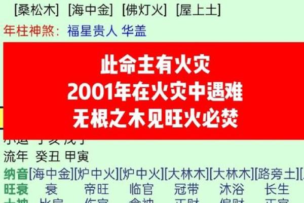 八字木多