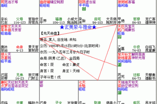 紫薇斗数三大格局