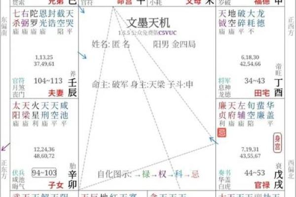 紫薇斗数三大格局