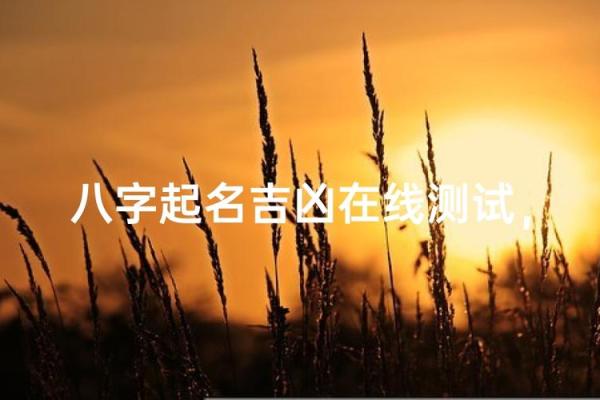 免费姓名测命运,八字起名免费生辰八字测名
