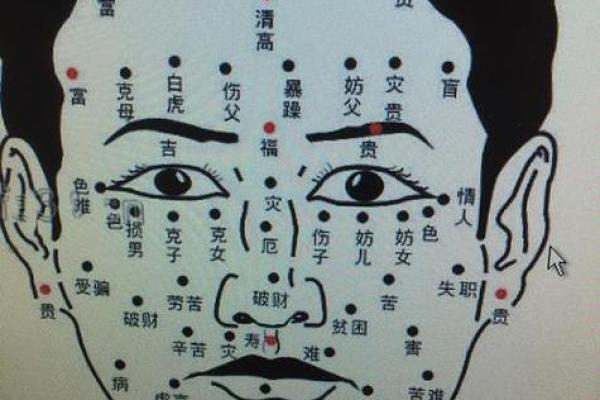 脸部黑痣算命图解